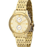 GUARDO LUXURY & PREMIUM 11717-4