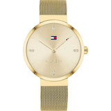 TOMMY HILFIGER 1680679