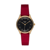 CAUNY CMJ016