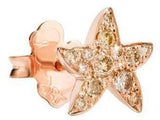 DODO DHB5001STARSDBR9R