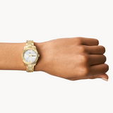 FOSSIL HORLOGES ES5199