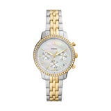 FOSSIL HORLOGES ES5216