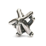 TROLLBEADS TAGBE-20041