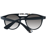 WEB SUNGLASSES