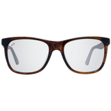 WEB SUNGLASSES