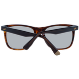 WEB SUNGLASSES