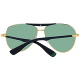 WEB SUNGLASSES