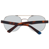 WEB SUNGLASSES